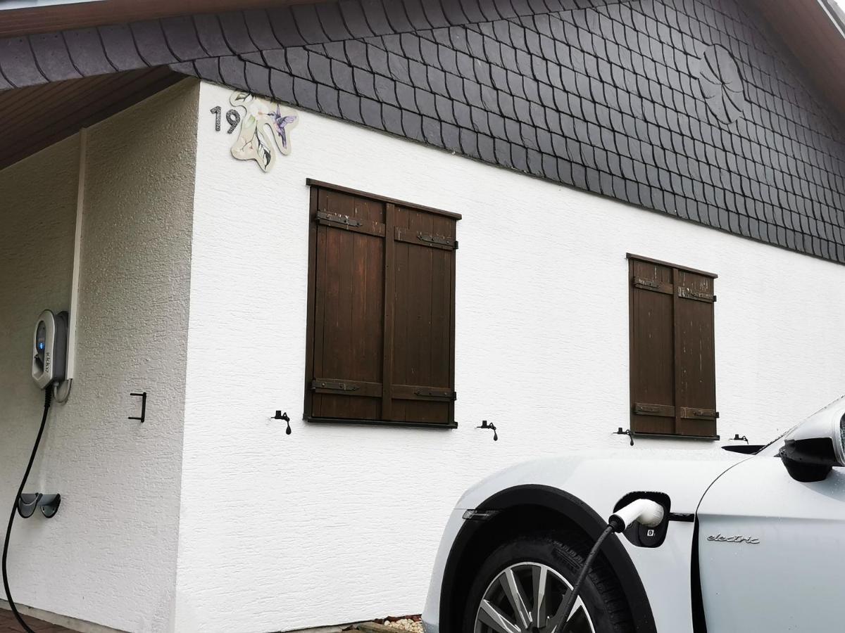 Bb19 Eifel-Ferienhaus Am Moseltal Mit Saunahaus Beuren  Eksteriør bilde