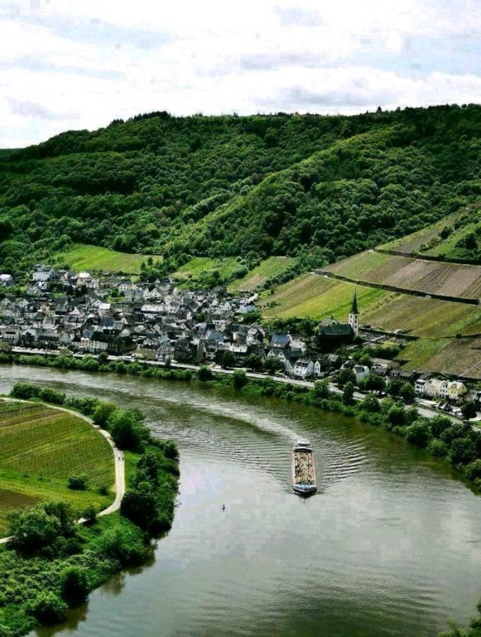 Bb19 Eifel-Ferienhaus Am Moseltal Mit Saunahaus Beuren  Eksteriør bilde